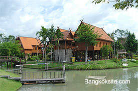 Bangsai516