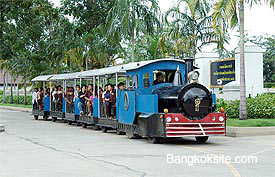 Bangsai517