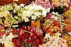 DSC_1881.jpg (21670 bytes)