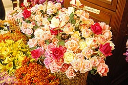 DSC_1897.jpg (21445 bytes)