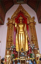 Dsc_1299M.JPG (25449 bytes)