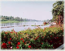 RoseGarden3.jpg (28018 bytes)