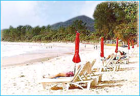 KataBeach1_275.jpg (16557 bytes)
