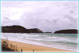 NaiHarnBeach_275.jpg (12705 bytes)