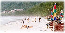 Patong1_275.jpg (14505 bytes)