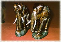 Carving200.jpg (12890 bytes)