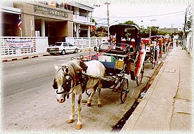 HorseCarriage2.jpg (25886 bytes)