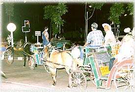 HorseCarriage3.jpg (24983 bytes)