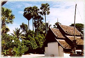 PongYangkok3.jpg (29325 bytes)