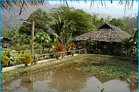 Chaithung1.jpg (22860 bytes)