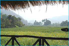 Chaithung2.jpg (25285 bytes)