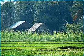 Chaithung4.jpg (24486 bytes)