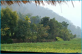 Chaithung5.jpg (19175 bytes)