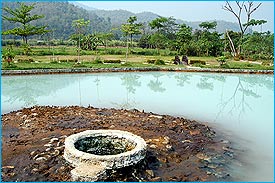 HotSpring1.jpg (21480 bytes)
