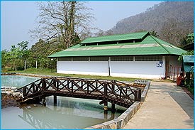 HotSpring2.jpg (18846 bytes)