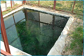 HotSpring4.jpg (20695 bytes)