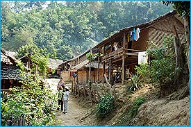 Karen204.jpg (25564 bytes)