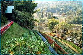 PangTong1.jpg (26283 bytes)