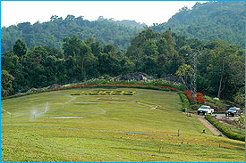 PangTong4.jpg (22950 bytes)