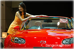 MotorExpo9.jpg (18601 bytes)