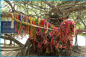 SaiNgam102.jpg (25406 bytes)