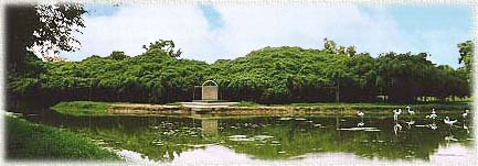 SaiNgam5.JPG (24946 bytes)