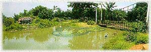 Zoo7AB.JPG (16100 bytes)
