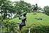 SoonthonPhu164.gif (2847 bytes)