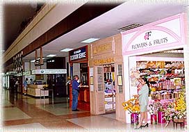 Airport2.jpg (23753 bytes)