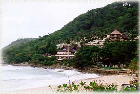 HatNaiHan2.jpg (19812 bytes)