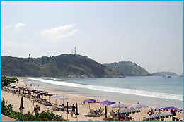 NaiHan41247B_260.jpg (14868 bytes)