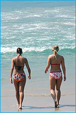 NaiHan41247C_150.jpg (13790 bytes)