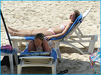 NaiHan41247D_250.jpg (15678 bytes)