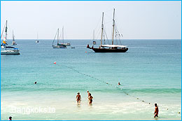 NaiHan41247E_260.jpg (12514 bytes)