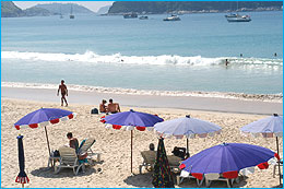 NaiHan41247F_260.jpg (20062 bytes)