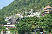 NaiHan41247G_200.jpg (17039 bytes)