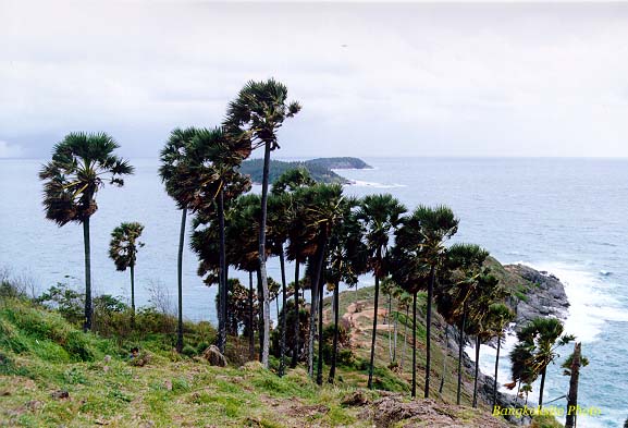 PhromthepLargeA.jpg (57562 bytes)