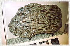 Picture01A.JPG (22802 bytes)