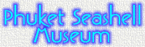 Seashell132.gif (6811 bytes)