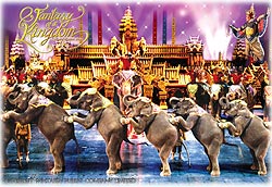 Show.jpg (22938 bytes)