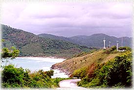 WindPower1.jpg (20376 bytes)