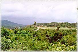 WindPower4.jpg (20904 bytes)