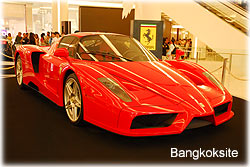 SiamPara3.jpg (19267 bytes)