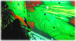 SiamPara6.jpg (14927 bytes)