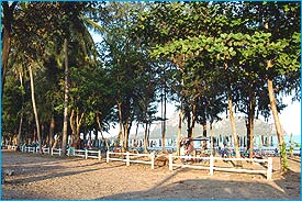 AoManao101.jpg (23362 bytes)