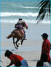 Huahin210148F.jpg (15531 bytes)