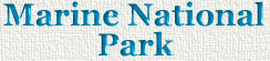 MarineParkHead.jpg (10663 bytes)