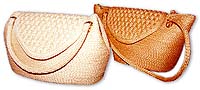 LadyBag0101.jpg (10776 bytes)