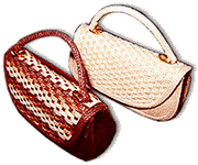 LadyBag0102.gif (11607 bytes)