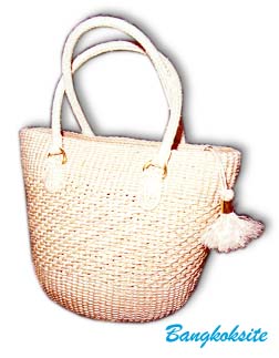 LadyBag0106A.JPG (18952 bytes)